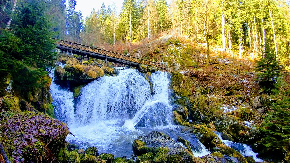 Foresta Nera - Germania e Alsazia