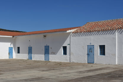 Alla scoperta dell’Asinara
