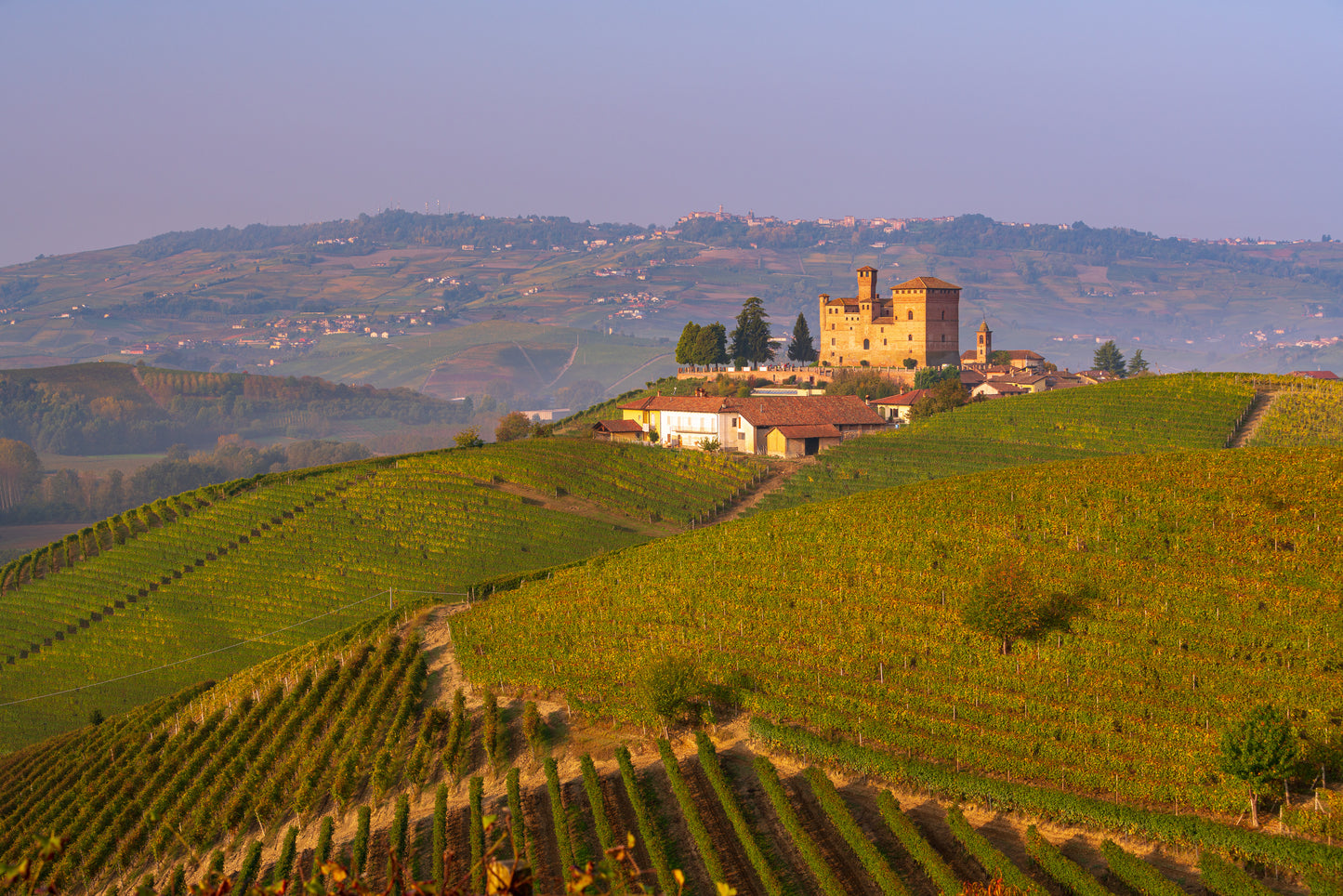 Torino e il fascino delle Langhe