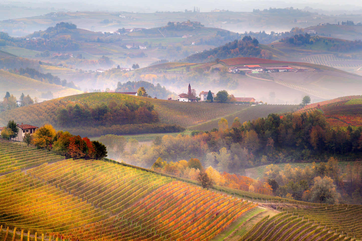 Torino e il fascino delle Langhe